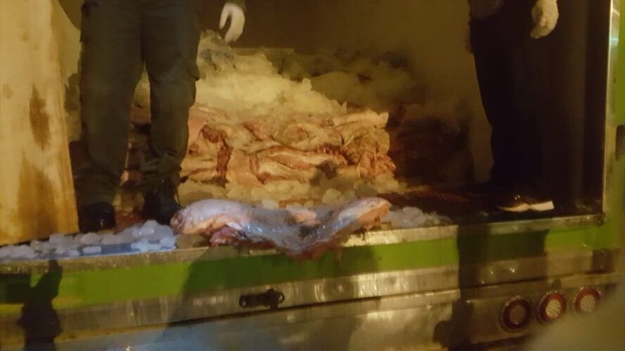 Fue hallado bocachico que estaba siendo transportado en canastas y de manera oculta, partes de carne de chigüiro. Foto: Policía Nacional