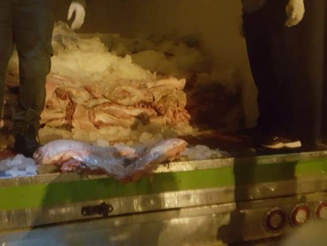 Fue hallado bocachico que estaba siendo transportado en canastas y de manera oculta, partes de carne de chigüiro. Foto: Policía Nacional