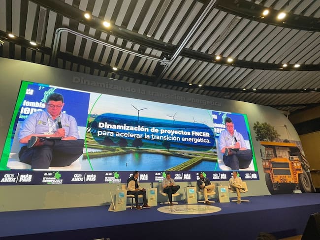 Rodrigo Negrete, director general de la Autoridad Nacional de Licencias Ambientales, ANLA