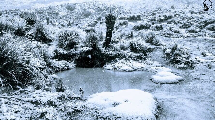 Según el alcalde Juan de Jesús Estupiñán cinco días completan los habitantes y turistas viendo caer nieve y observando montañas completamente blancas.. Foto: Cortesía guía turístico Edwin Parada