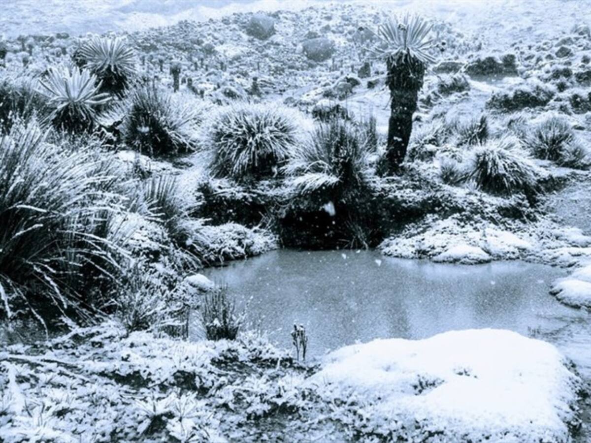 No para el espectáculo en el Parque el Nevado de El Cocuy
