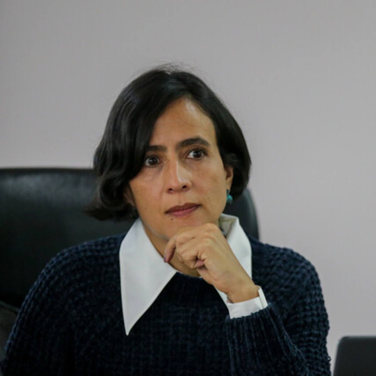 Confirman nulidad de elección de Susana Muhamad en Concejo de Bogotá