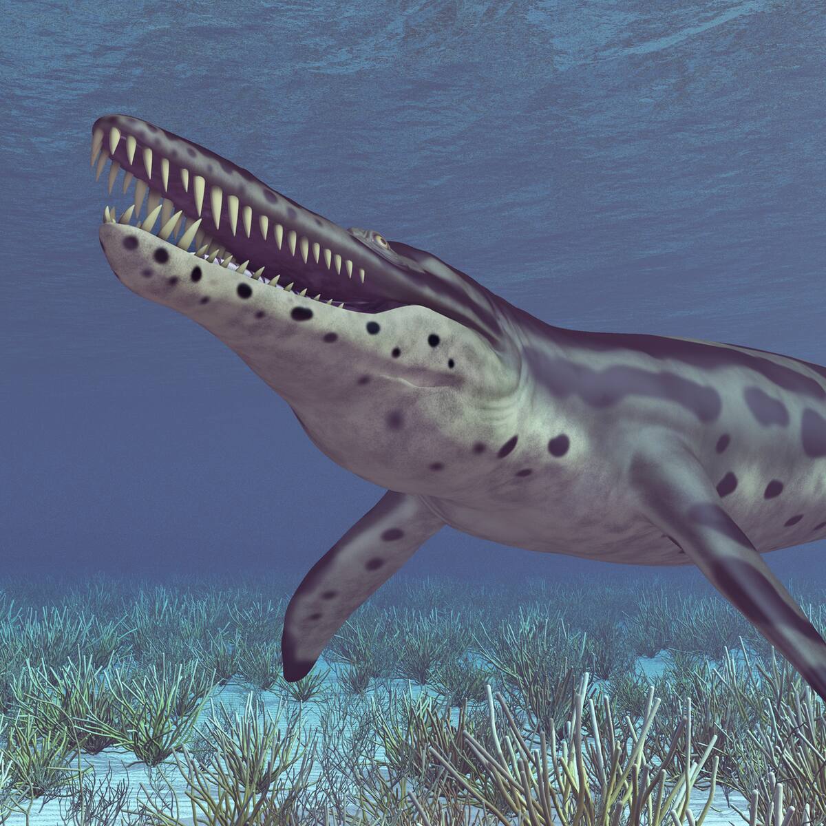 Estos dinosaurios habitaron hace millones de años en lo que hoy es Colombia: ¿carnívoros?