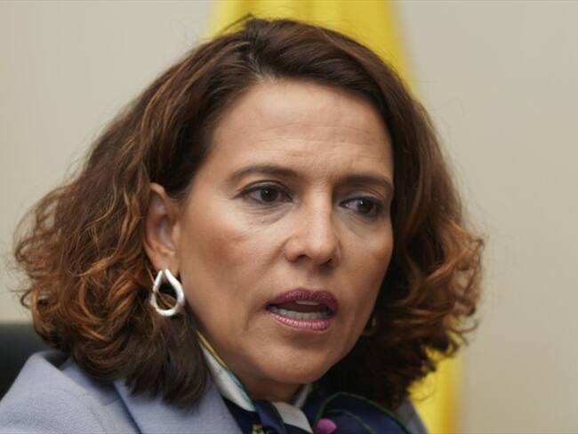 Indígenas del Cauca piden 41.000 hectáreas de tierra y eso no se les puede dar: Gutiérrez