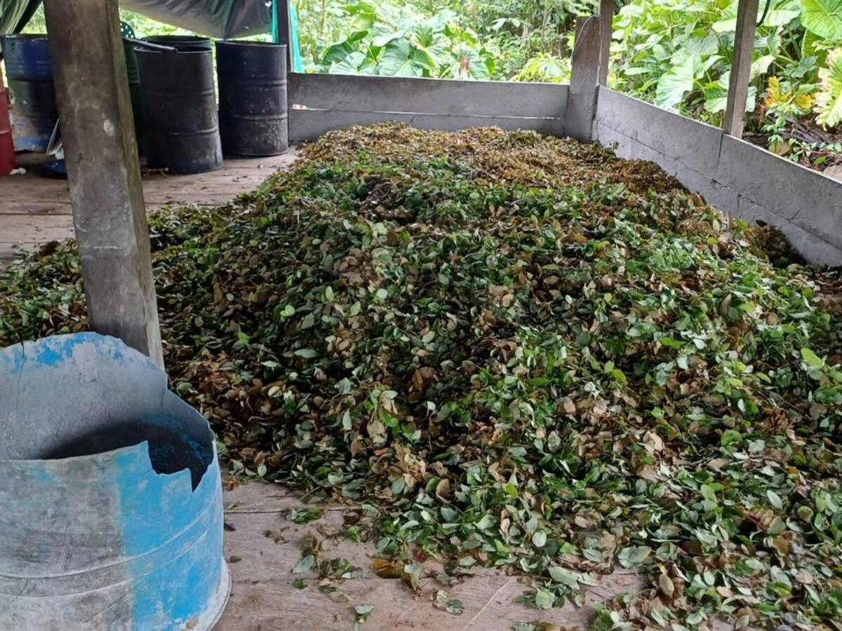Ejército Nacional desmanteló cinco laboratorios de cocaína en el Putumayo