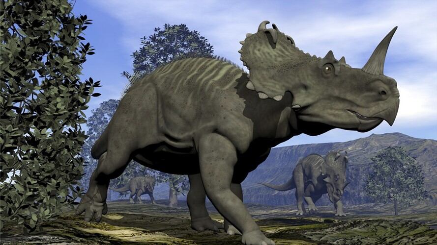 Imagen de referencia. Foto: Getty Images