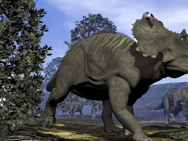 Imagen de referencia. Foto: Getty Images