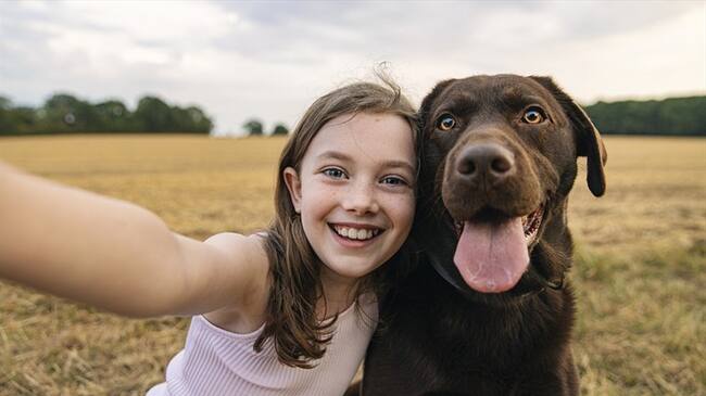 Cada 21 de julio desde el 2004 se conmemora el Día Mundial del Perro. Foto: Getty Images/ Justin Paget