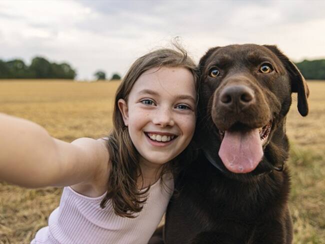 Cada 21 de julio desde el 2004 se conmemora el Día Mundial del Perro. Foto: Getty Images/ Justin Paget