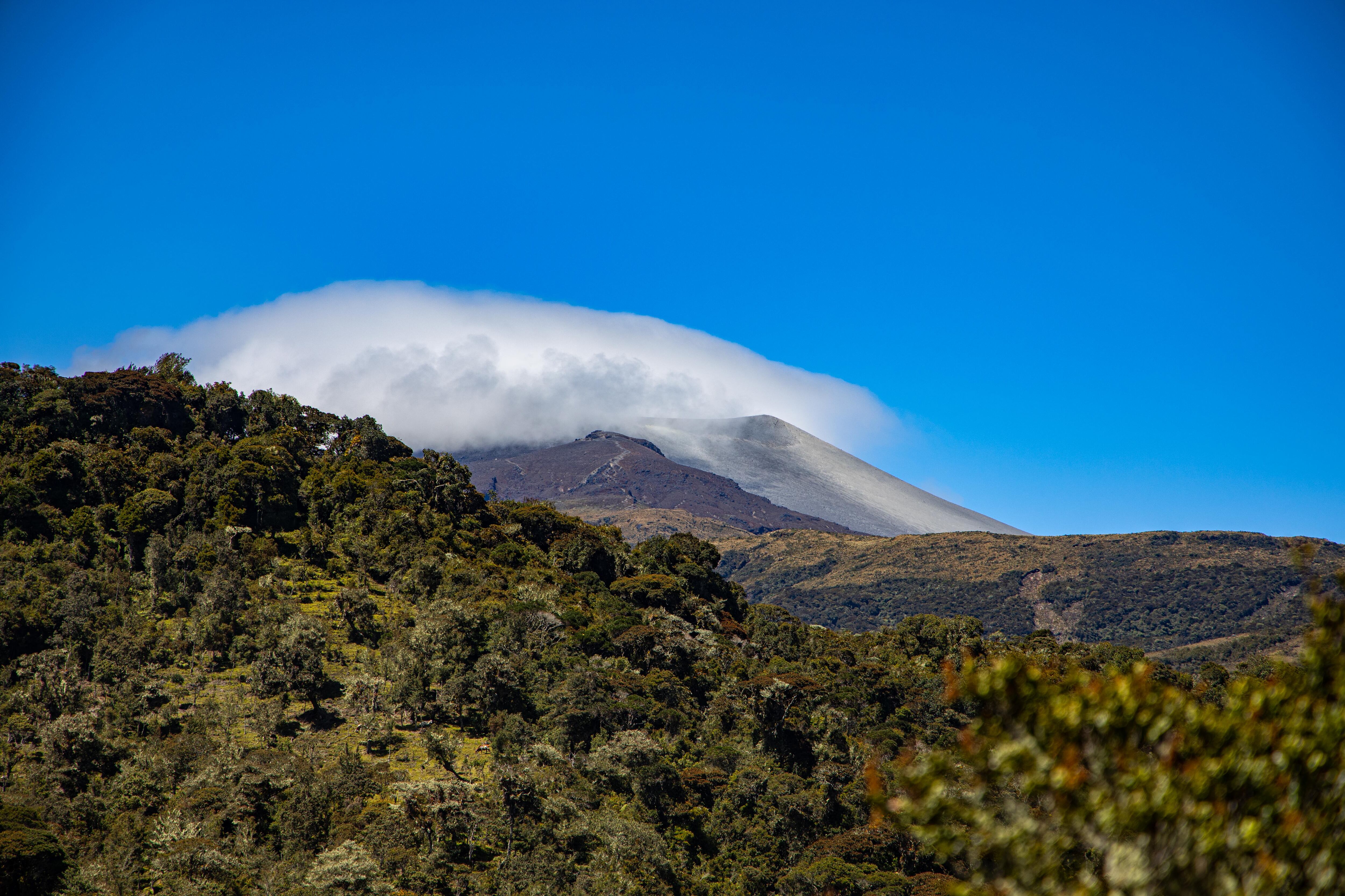 Parque Nacional Natural Puracé, uno de los principales atractivos turísticos del departamento. | Foto: Cortesía