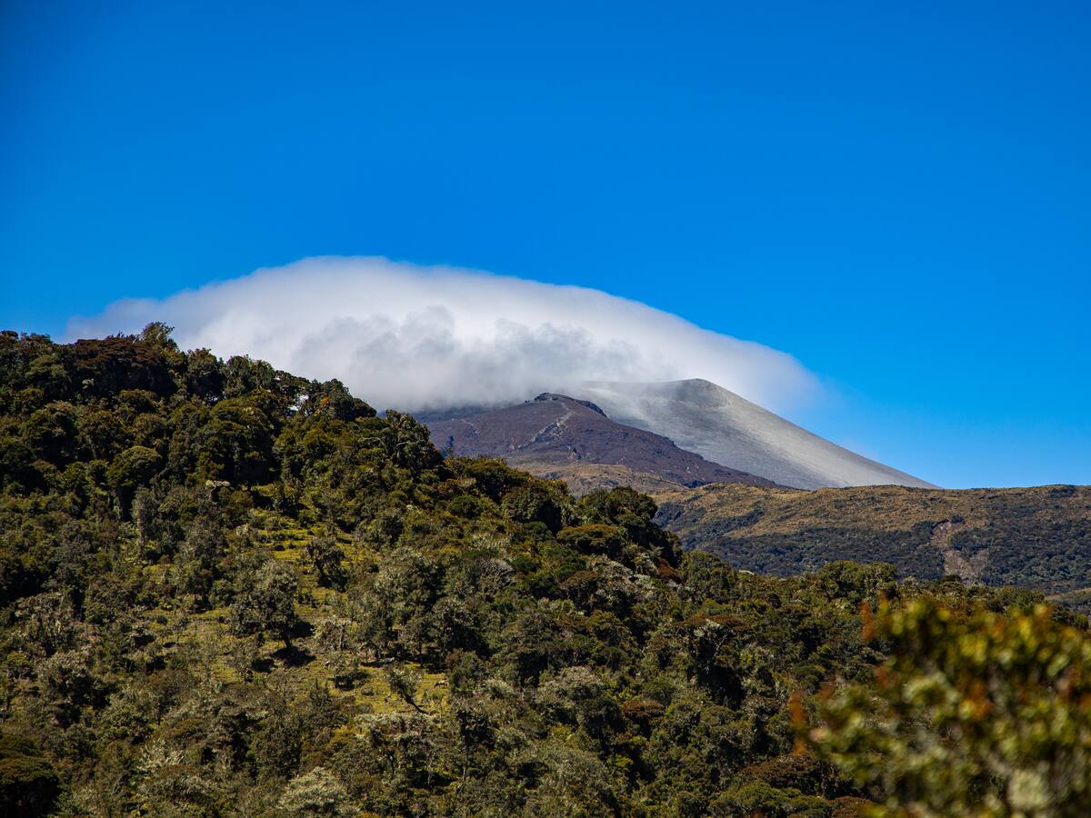 Turismo, agroindustria y seguridad: los temas este viernes en Proyecto Cauca