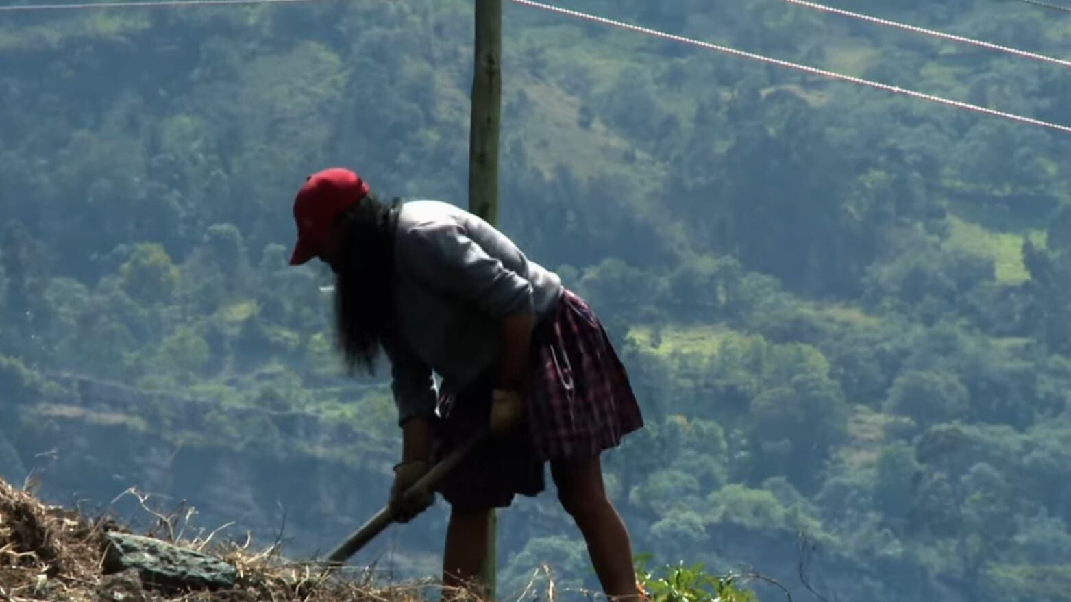 Uno de los terrenos fue arrendado hace casi un año por Richards Varela. Foto: Pantallazo documental. 