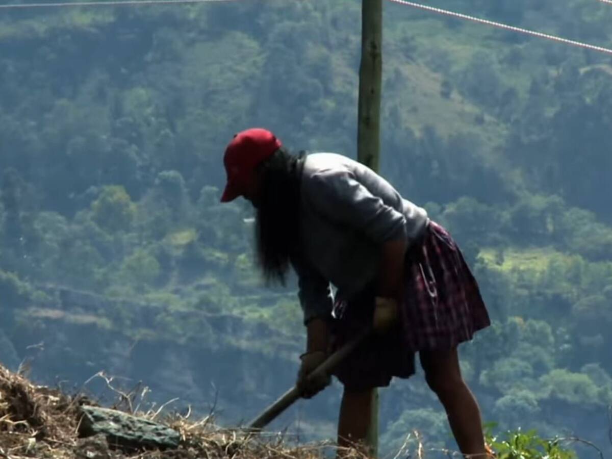 Con problemas de salud mental y estafada se encuentra la señorita María, campesina transgénero de Boyacá