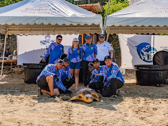 Semana de los Oceános. Foto: cortesía Centro de Vida Marina de Santa Marta