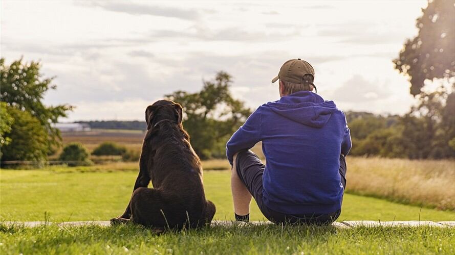 Imagen de referencia de amistad entre perros y humanos. Foto: Getty Images / Justin Paget