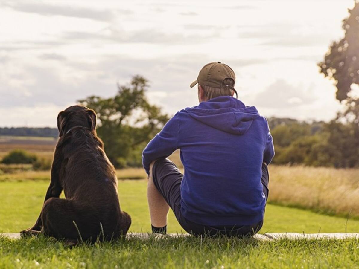 ¿Por qué su perro lo persigue a todos lados? Estos son los motivos