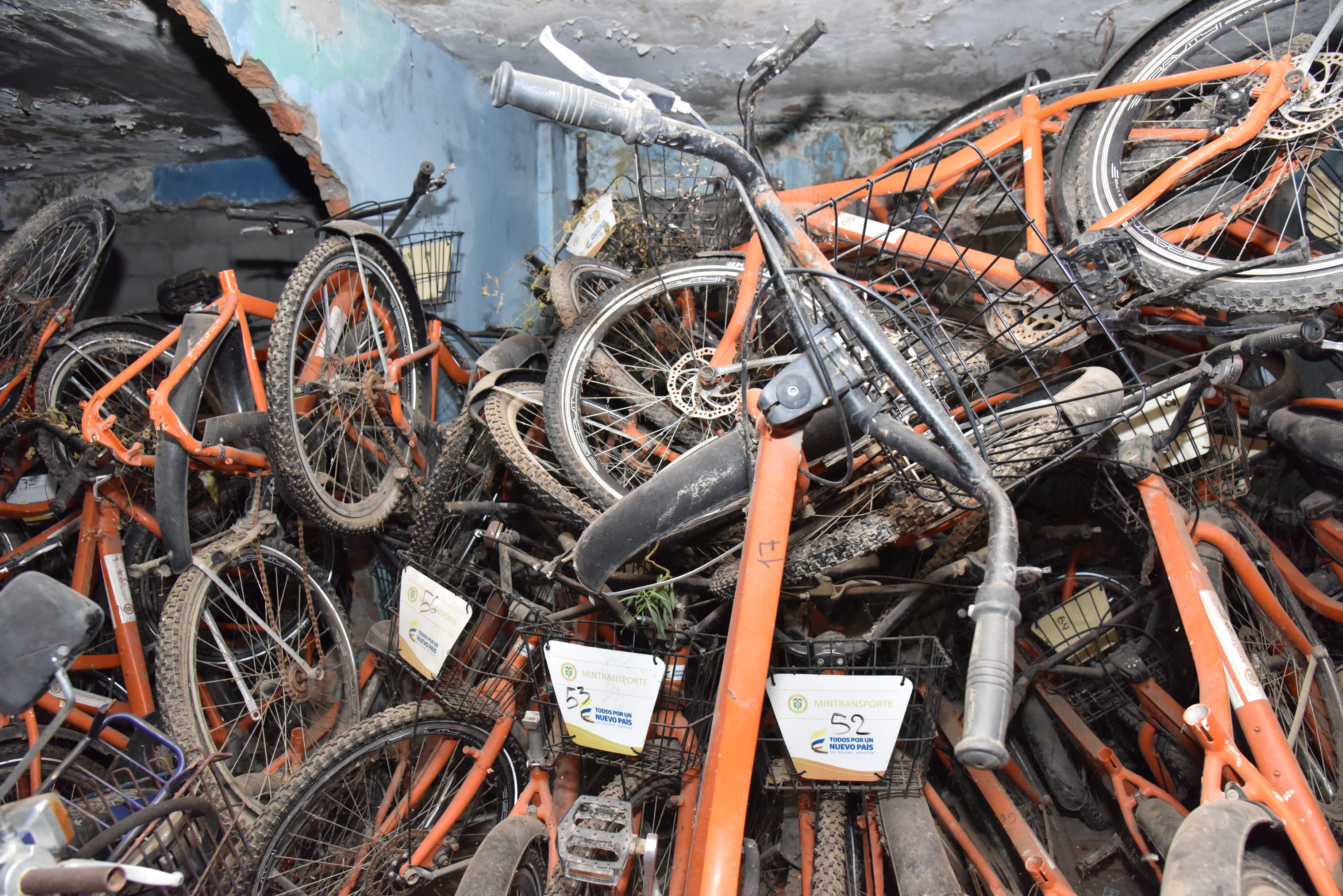 Bicicletas abandonadas/ Cortesía