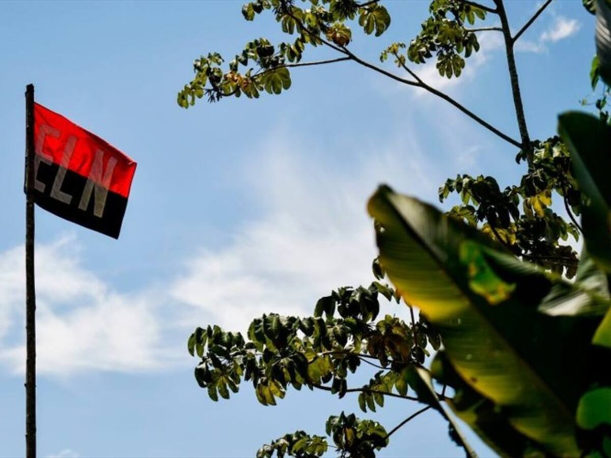 Se desmoviliza hija de alias Lenin, jefe militar del Frente Oriental del ELN