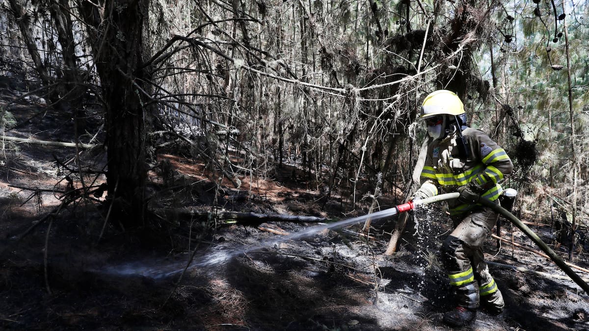 “El fuego avanzó hacia nosotros”: bombero herido tras incendio en Cerros Orientales