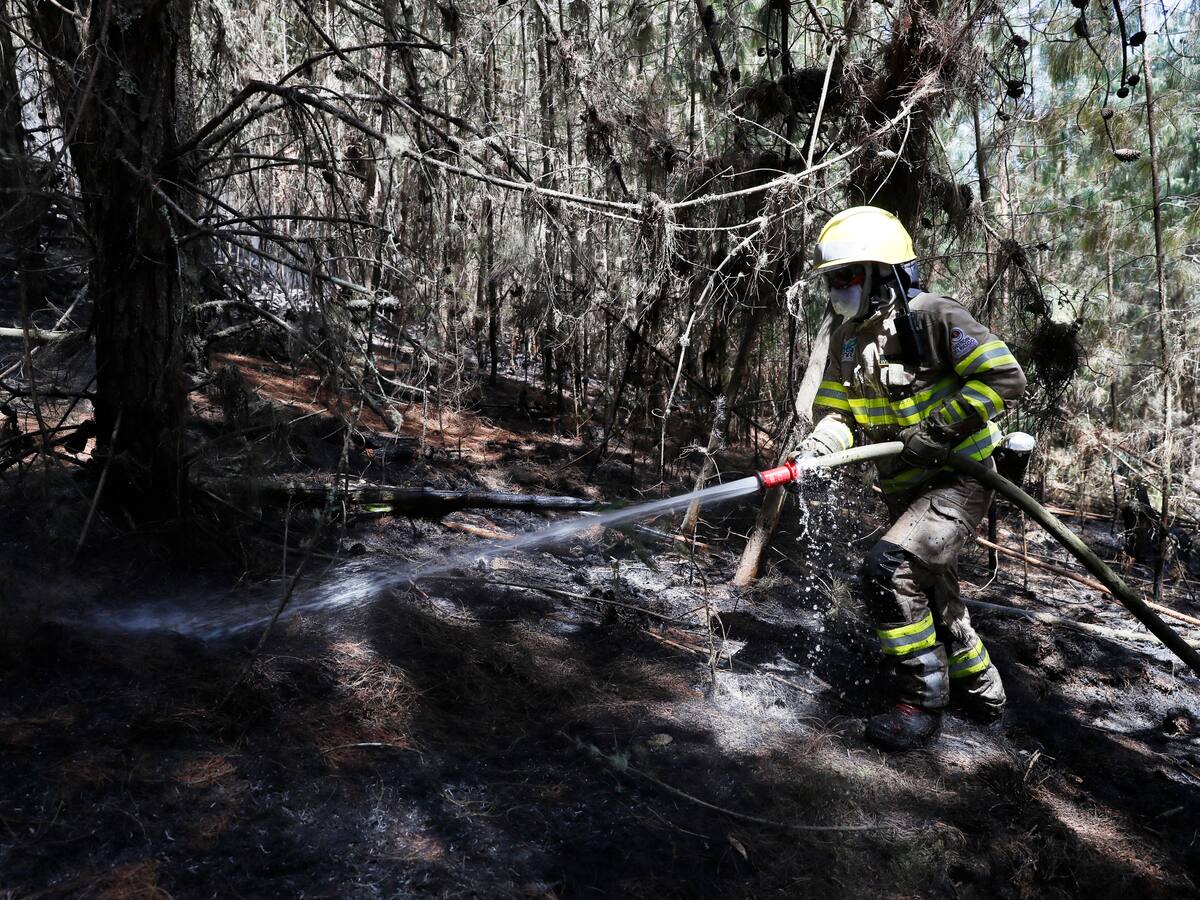 “El fuego avanzó hacia nosotros”: bombero herido tras incendio en Cerros Orientales