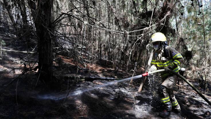 “El fuego avanzó hacia nosotros”: bombero herido tras incendio en Cerros Orientales