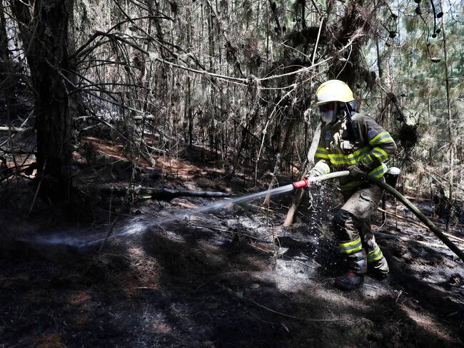 “El fuego avanzó hacia nosotros”: bombero herido tras incendio en Cerros Orientales