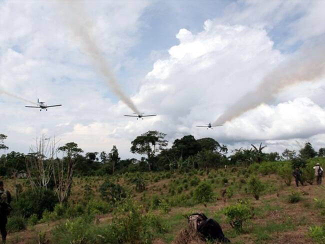 ¿Qué pasaría si no se retoma la aspersión aérea contra cultivos ilícitos?. Foto: Colprensa