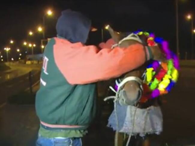 1.658 caballos ya no trabajan en las calles de Bogotá