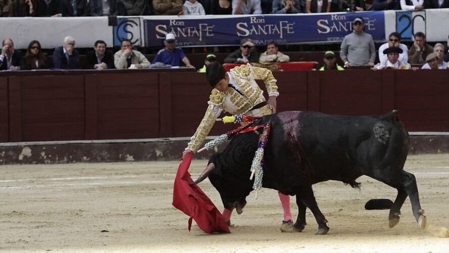 Corrida de toros / Imagen de referencia. Foto: Colprensa/Mario Franco