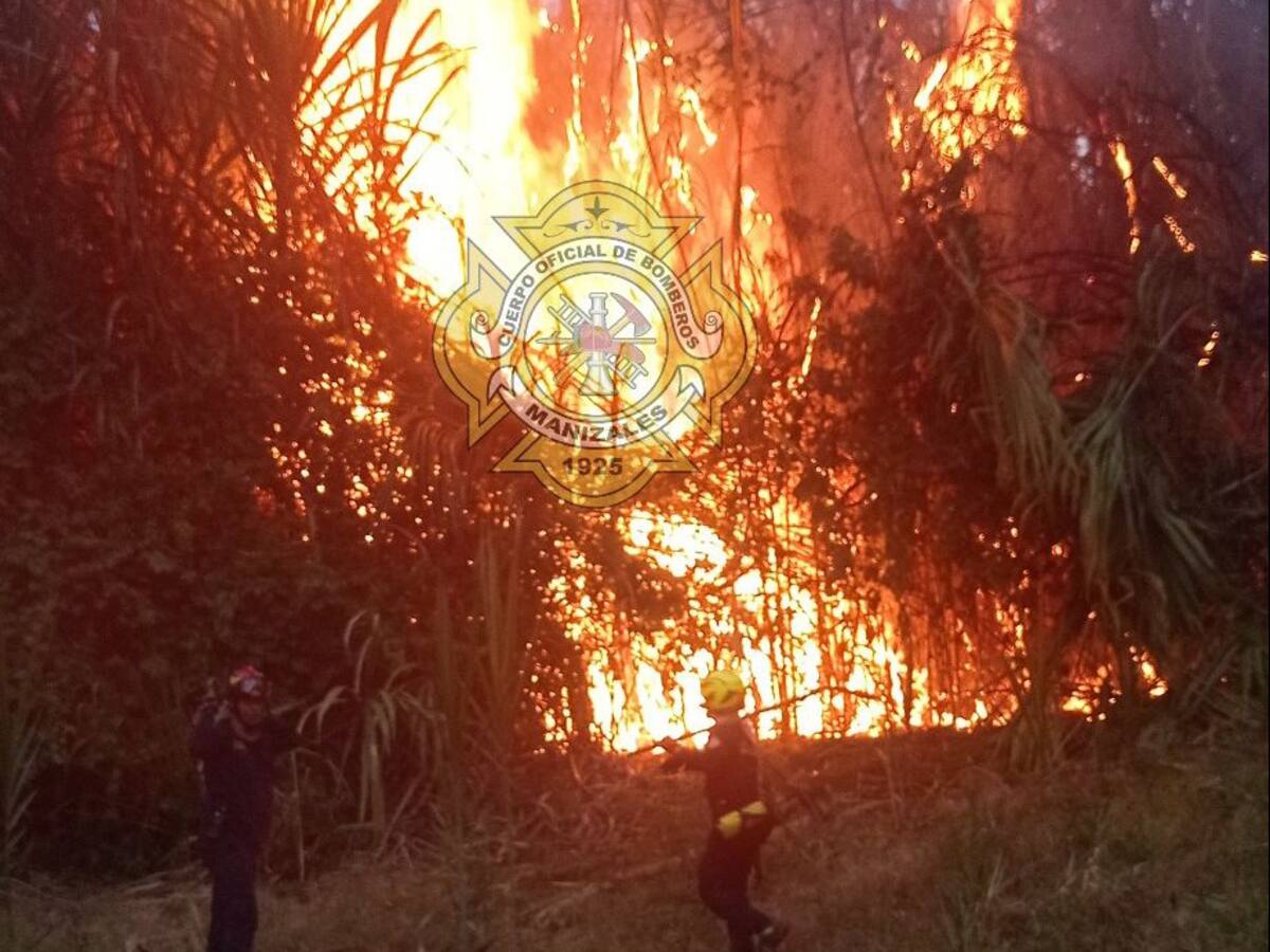 Incendios forestales se registraron en Manizales y el municipio Neira, norte de Caldas
