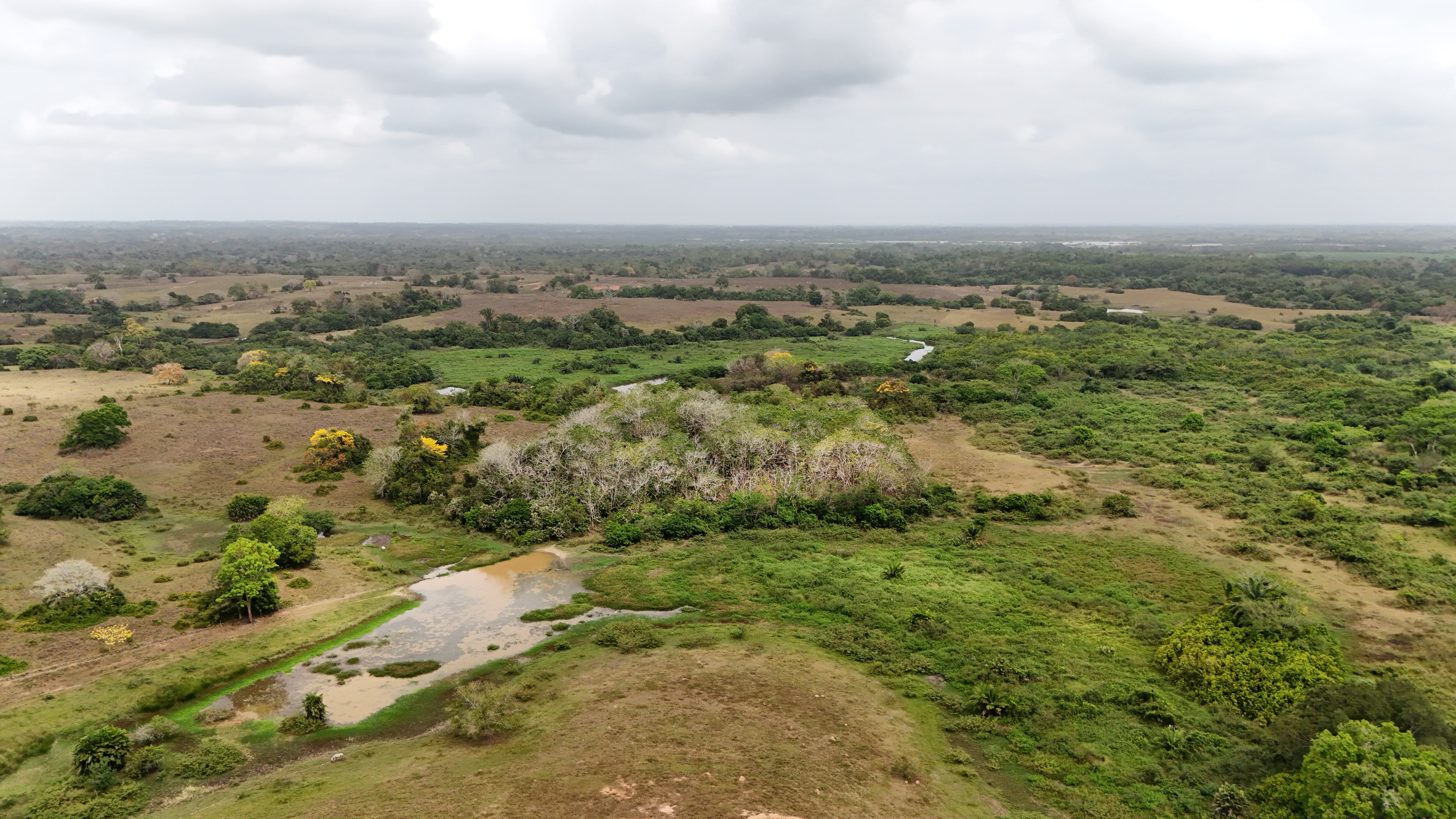 Predio La Carcajada, Buenavista, Córdoba. Foto: ANT.