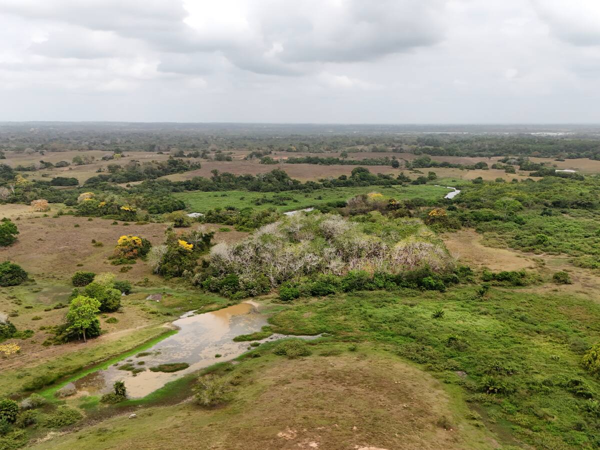 Quitan finca a asociación campesina por presuntas irregularidades en Buenavista, Córdoba