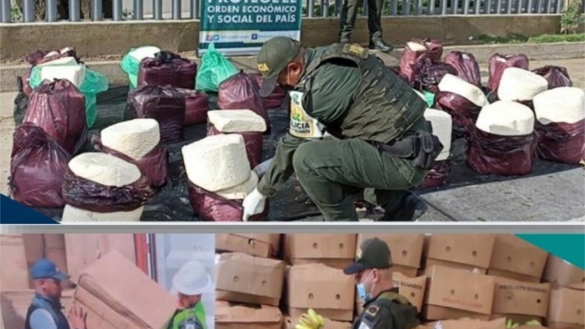 Lucha contra contrabando agropecuario deja aprehensiones por más de $4.000 millones