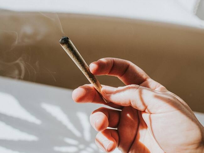 En México deben poner las reglas del cannabis y no el narcotráfico: senadora