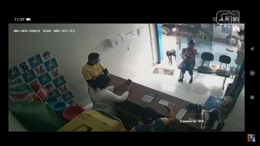 En video: un perro callejero herido ingresa solo a una veterinaria y pide ayuda. Foto: Captura de YouTube: Jornal tv