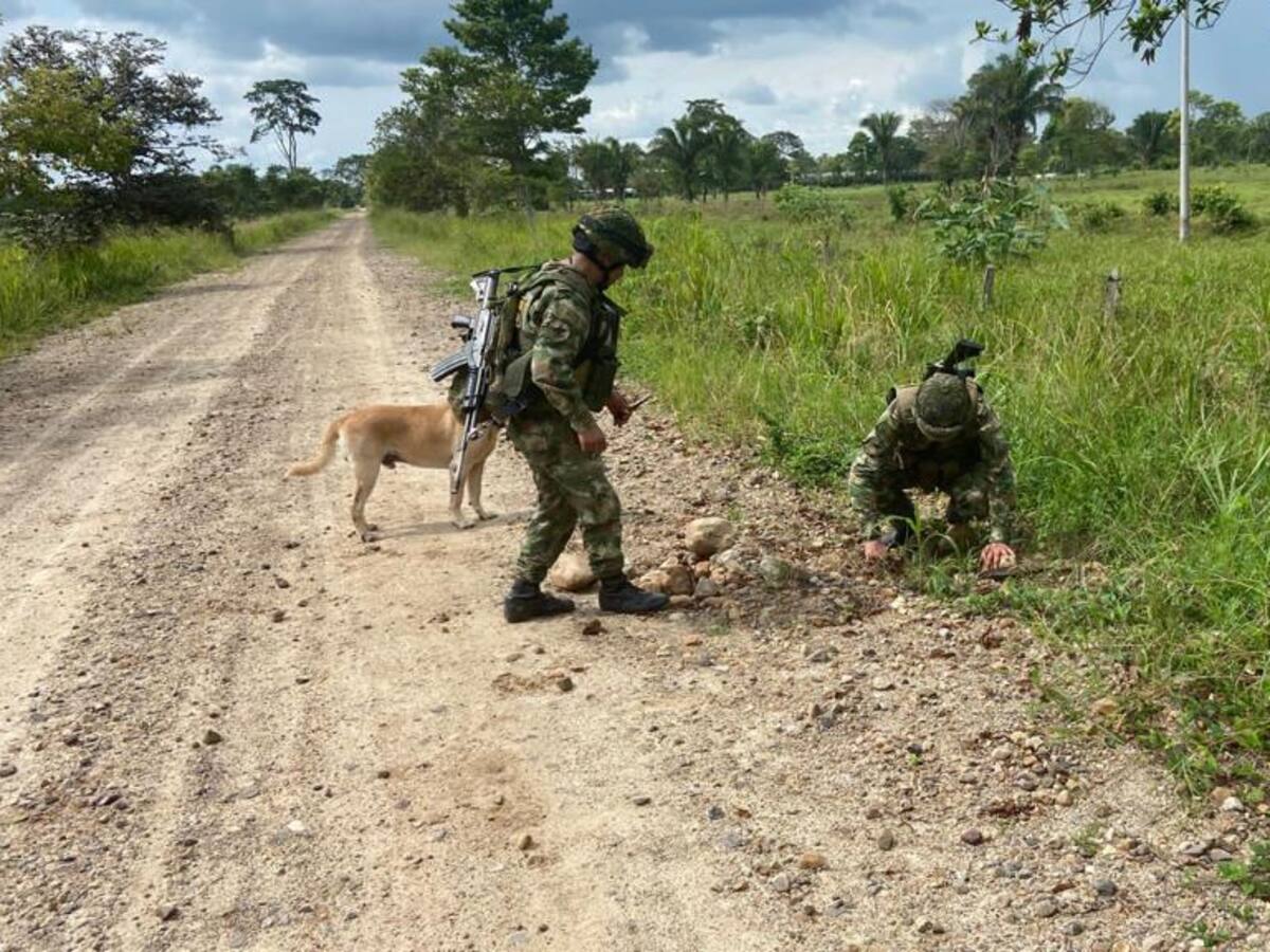 Desactivan explosivos ubicados cerca de un colegio en Puerto Rondón, Arauca