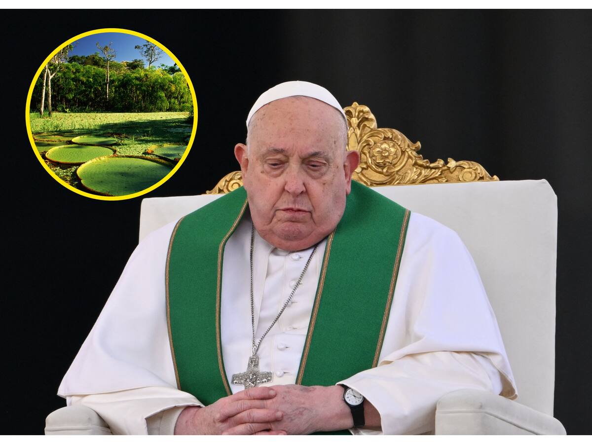 El papa Francisco pidió proteger la naturaleza de las “explotaciones codiciosas” en honor a Brasil
