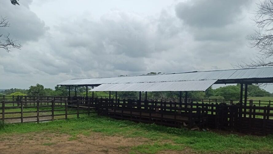 Fiscalía entregó bienes por más de $39.600 millones al fondo de reparación a víctimas .Foto: prensa Fiscalía.