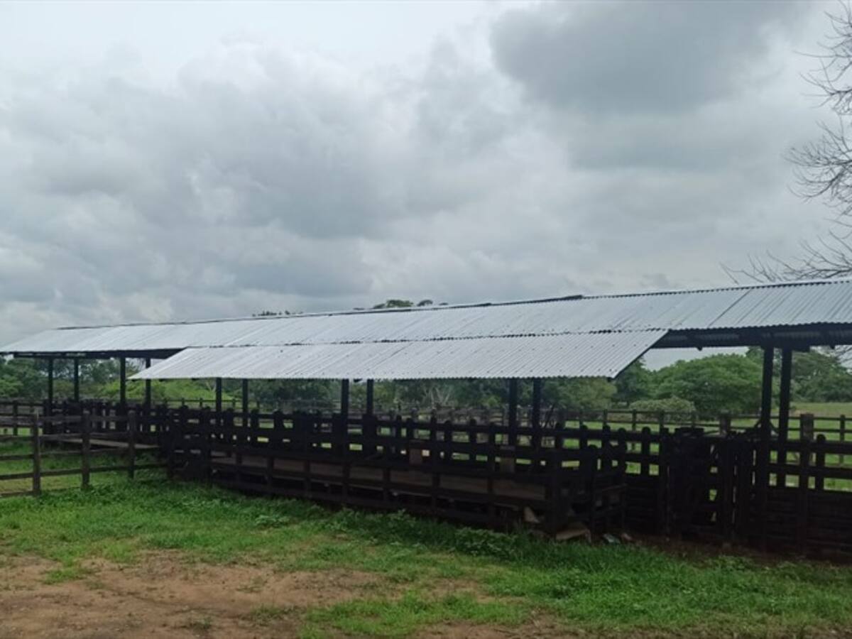 Fiscalía entregó bienes por más de $39.600 millones al fondo de reparación a víctimas