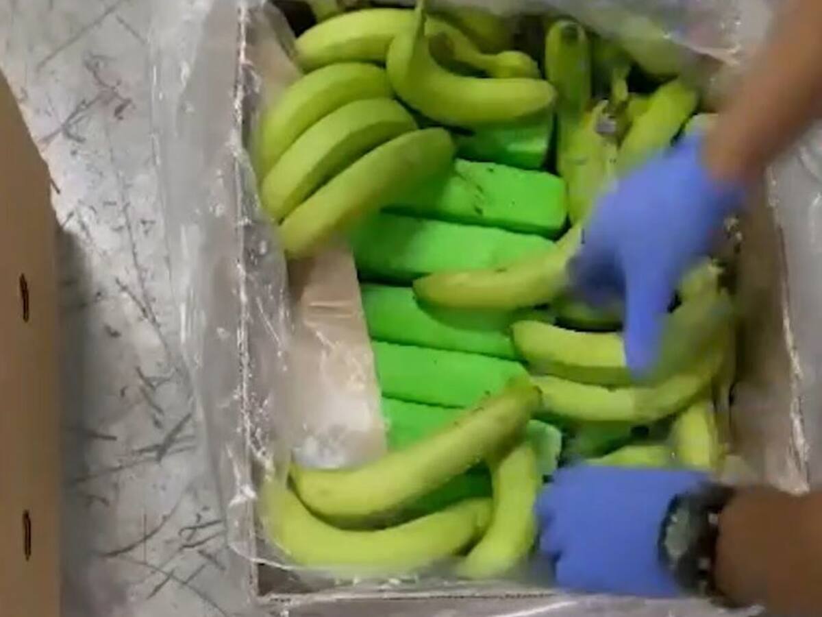 Siete capturados por cocaína incautada en el Puerto de Barranquilla