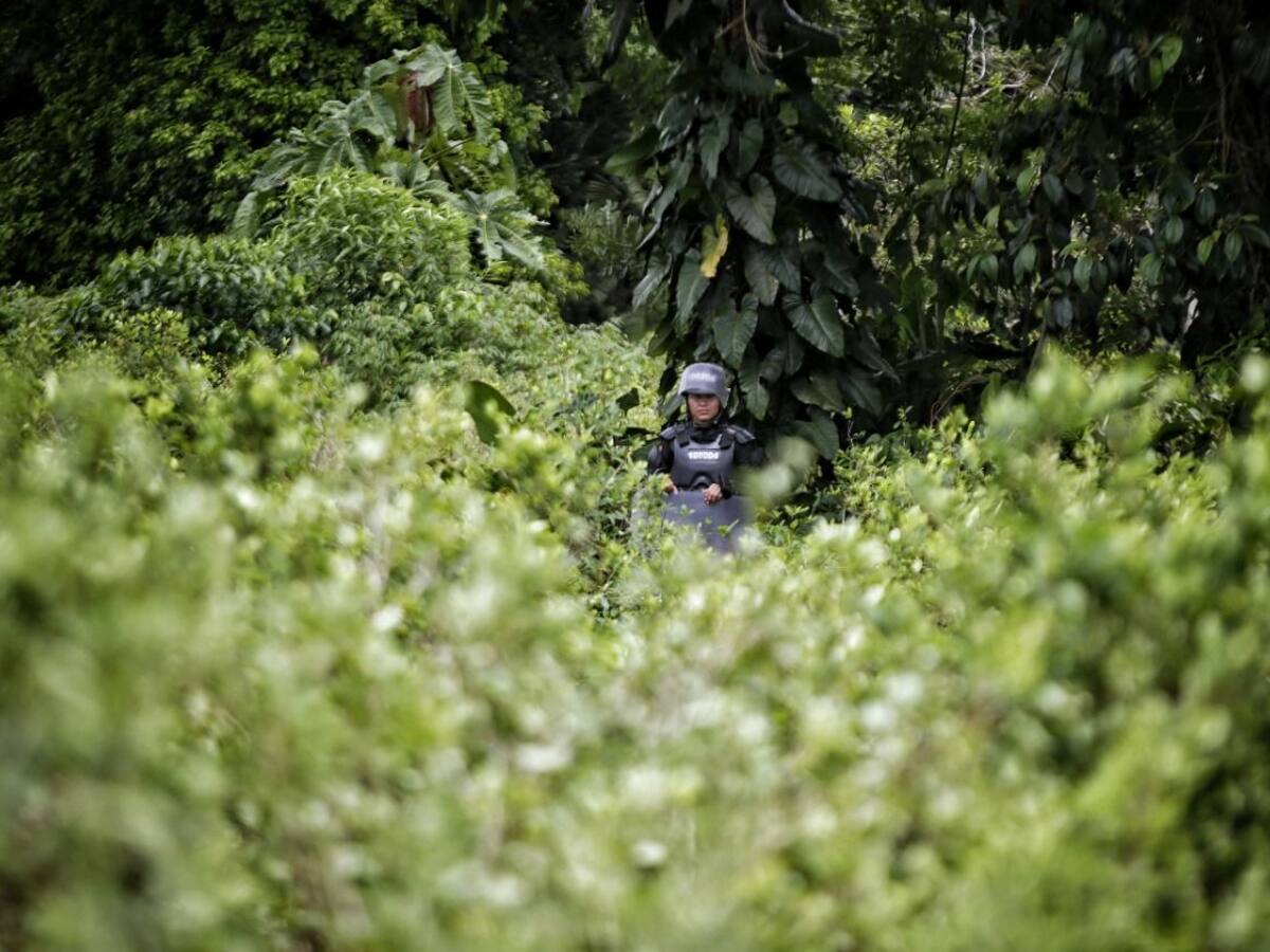 Sigue tensión en el sur de Córdoba entre campesinos y Policía; otro civil herido