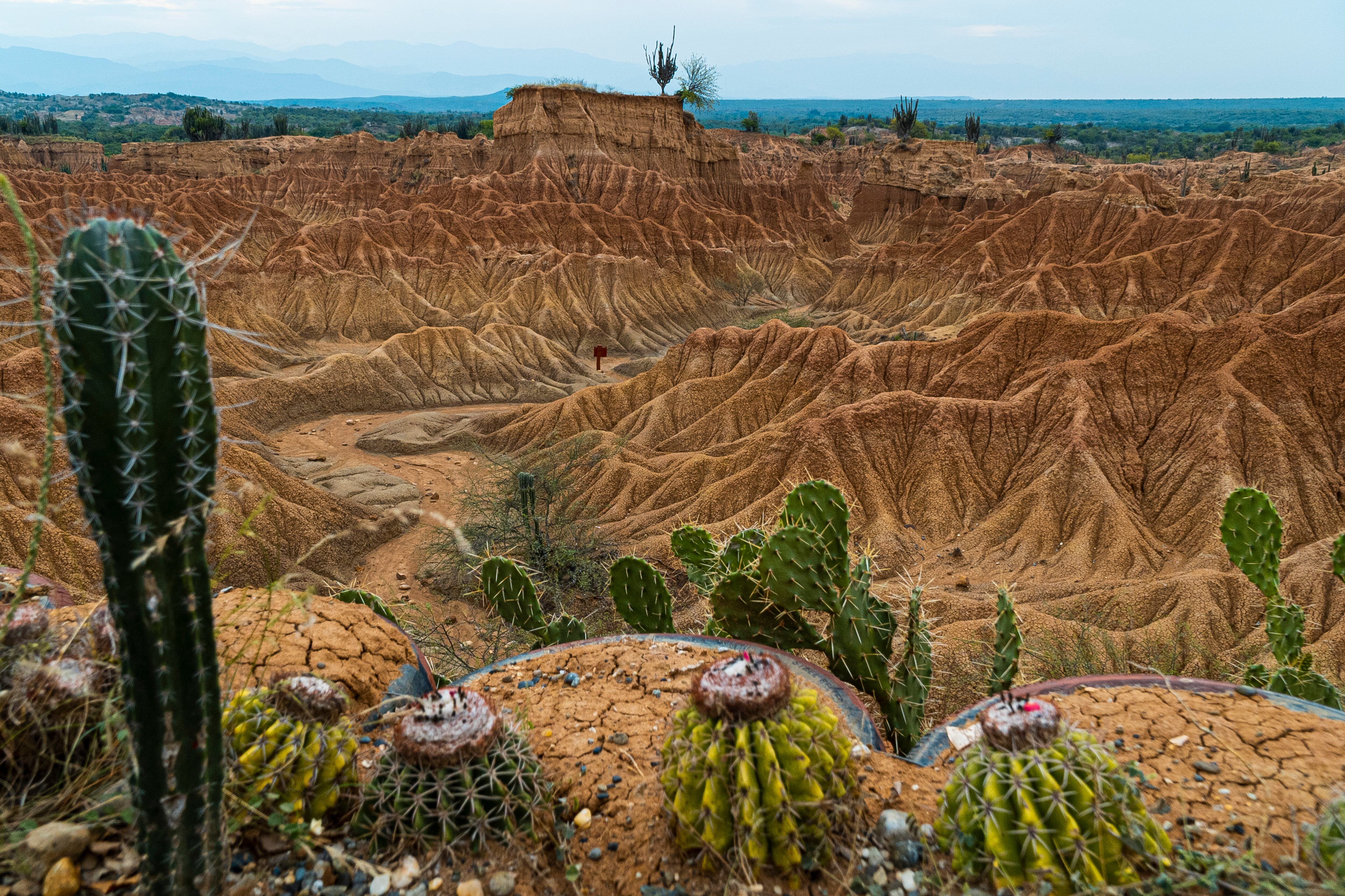 Desierto de la Tatacoa. Huila, Colombia. (Foto vía Getty Images)