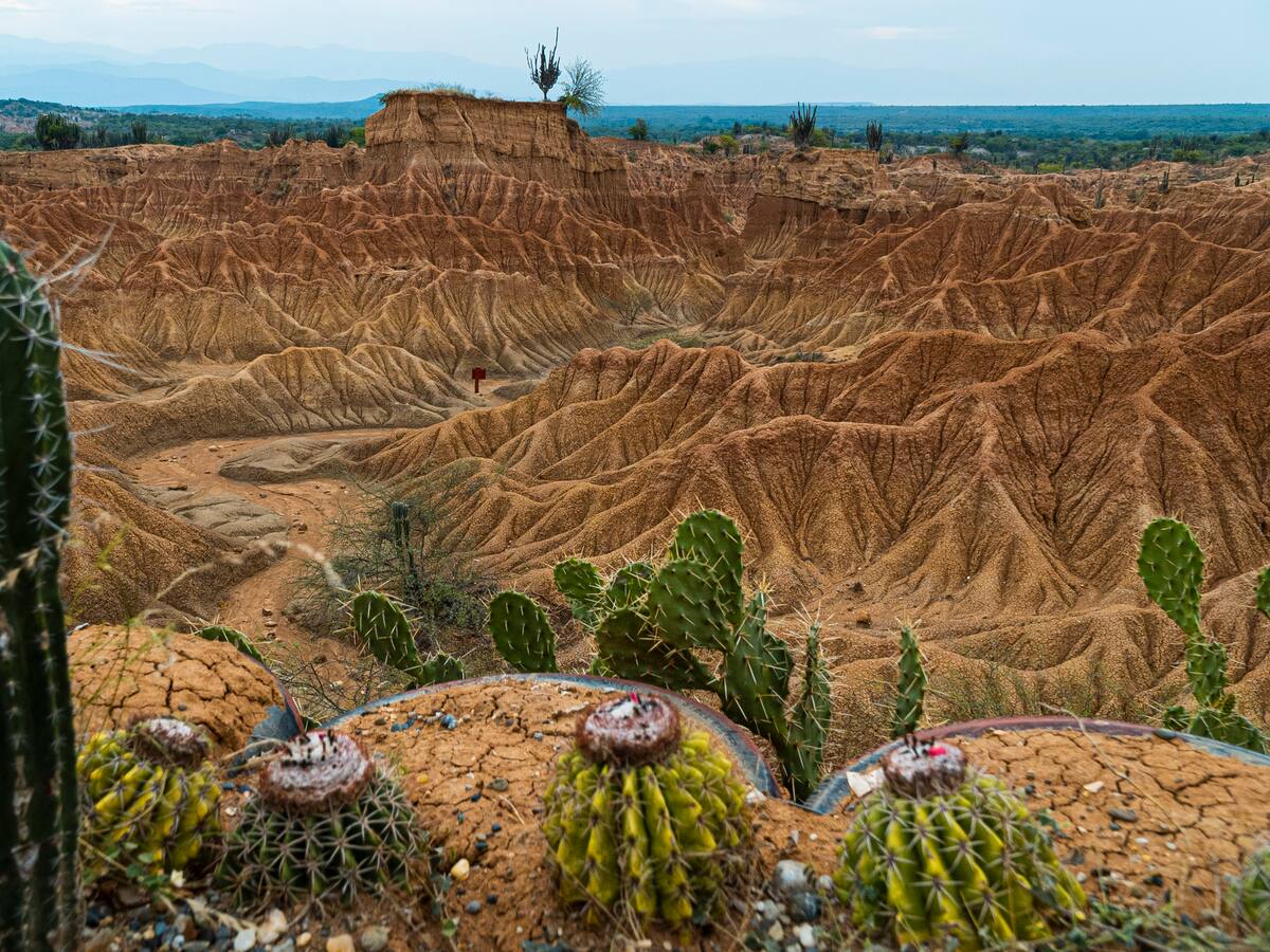 Aprueban plan de manejo ambiental para proteger y ordenar el desierto de la Tatacoa