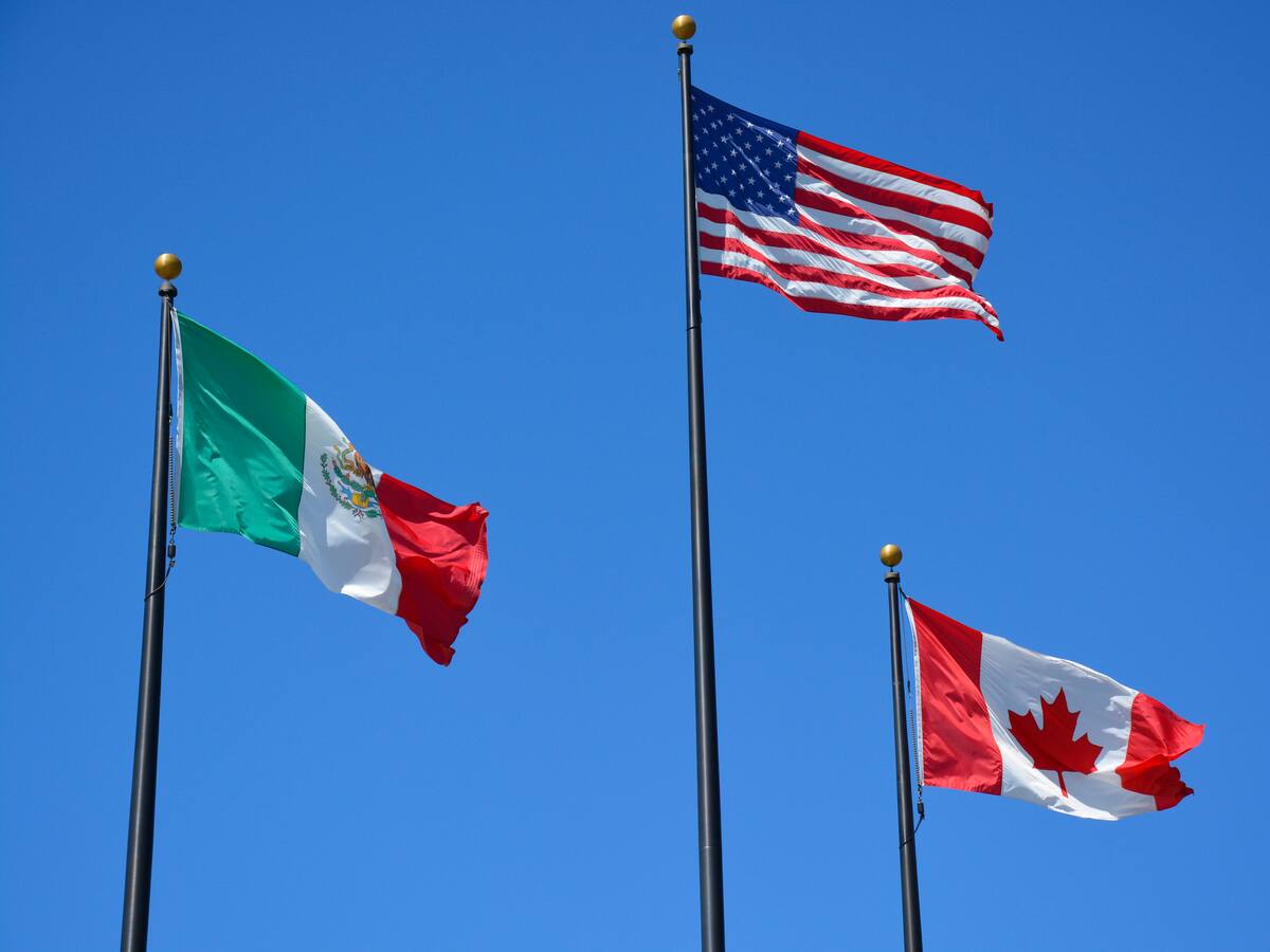 Economista revela las consecuencias a corto y largo plazo tras aranceles de EE.UU. a México y Canadá