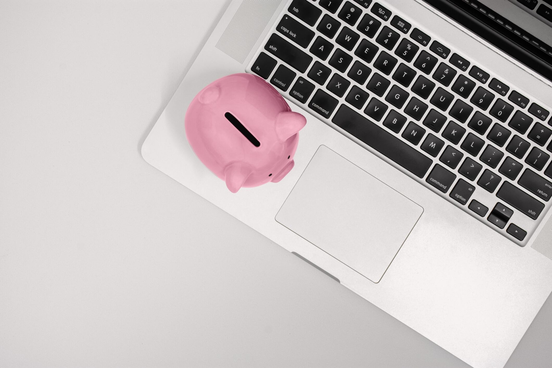 Imagen de referencia.