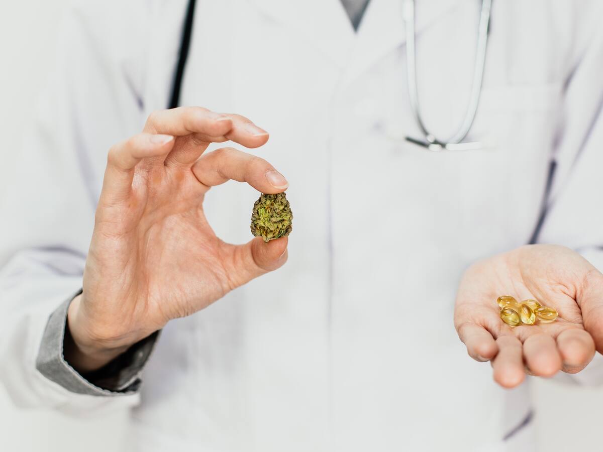 Colombia se convertirá en fuente de cannabis medicinal para el mundo: Clever Leaves