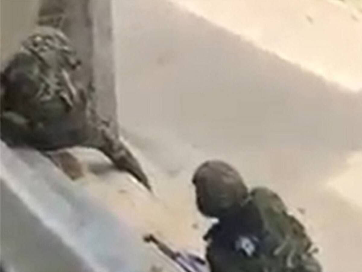 Disidencias de Farc hostigaron a la Policía en zona rural de Cajibío, Cauca