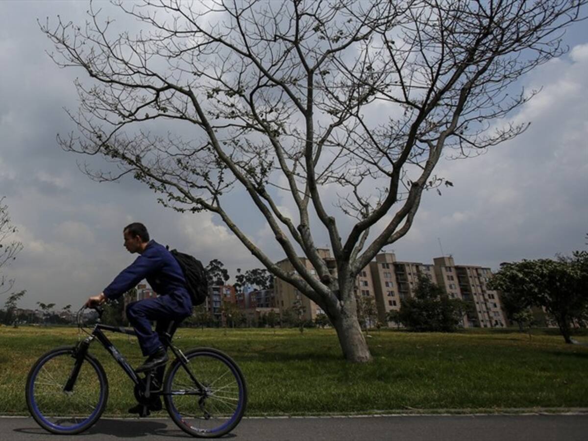 ¿Cómo están usando la bicicleta los ciudadanos?