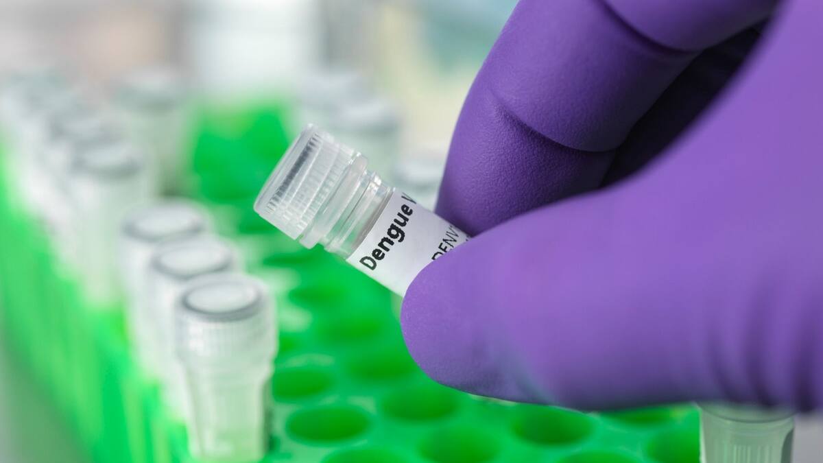 Valle del Cauca mantienen la alerta epidemiológica por brote de Dengue