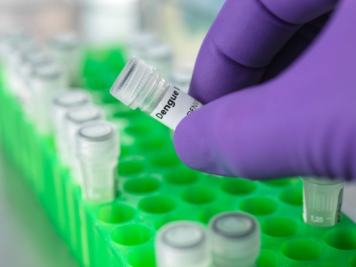 Valle del Cauca mantienen la alerta epidemiológica por brote de Dengue